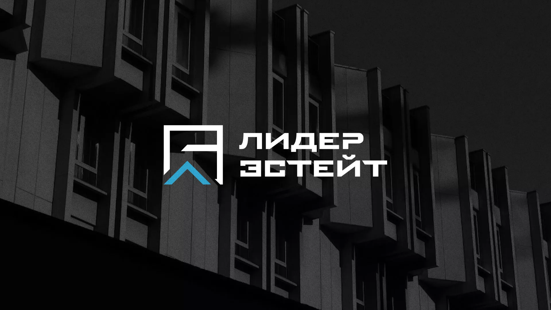 Разработка логотипа агентства недвижимости «Лидер Эстейт» в Котово