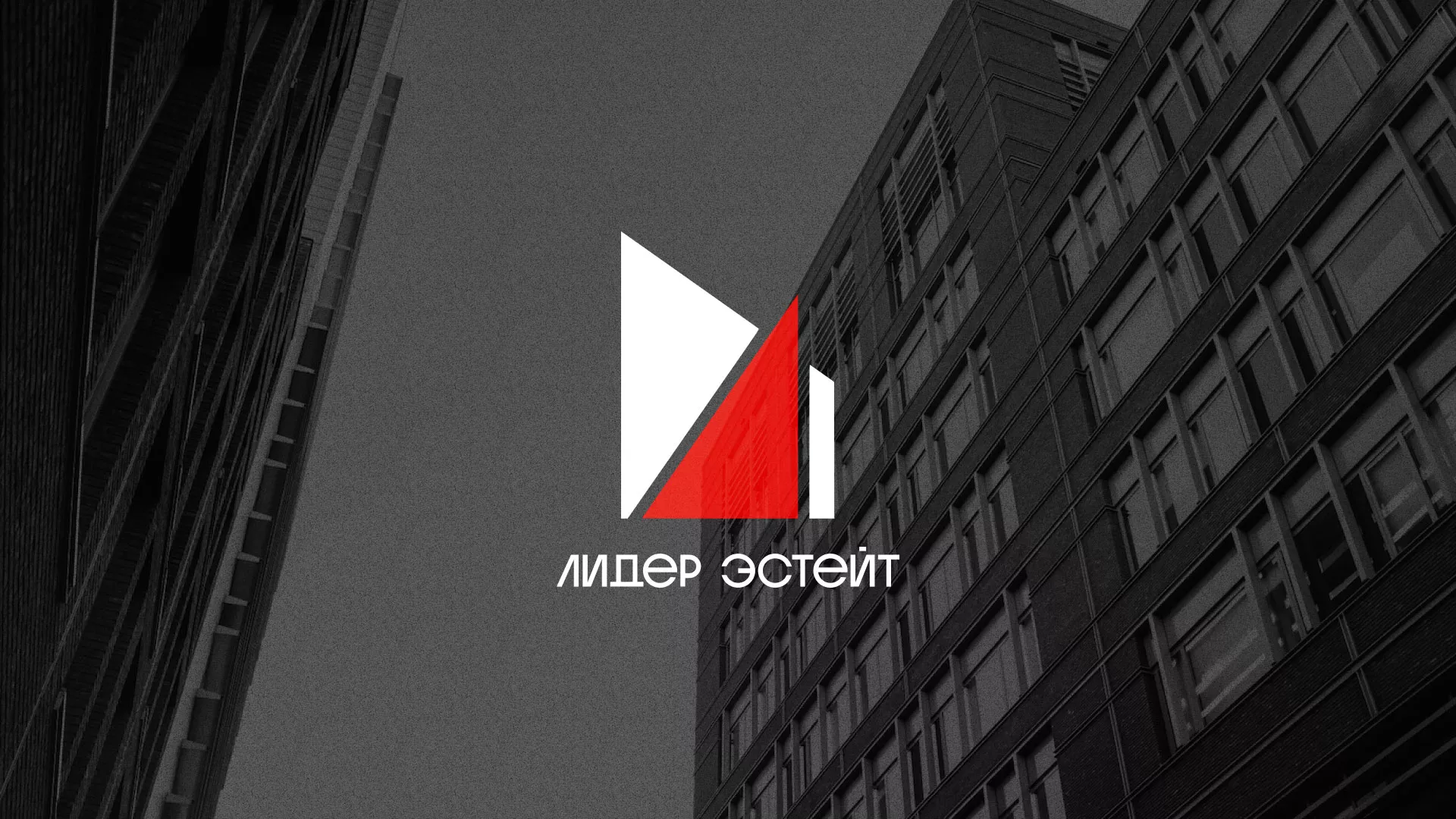 Сделали логотип для агентства недвижимости «Лидер Эстейт» в Котово